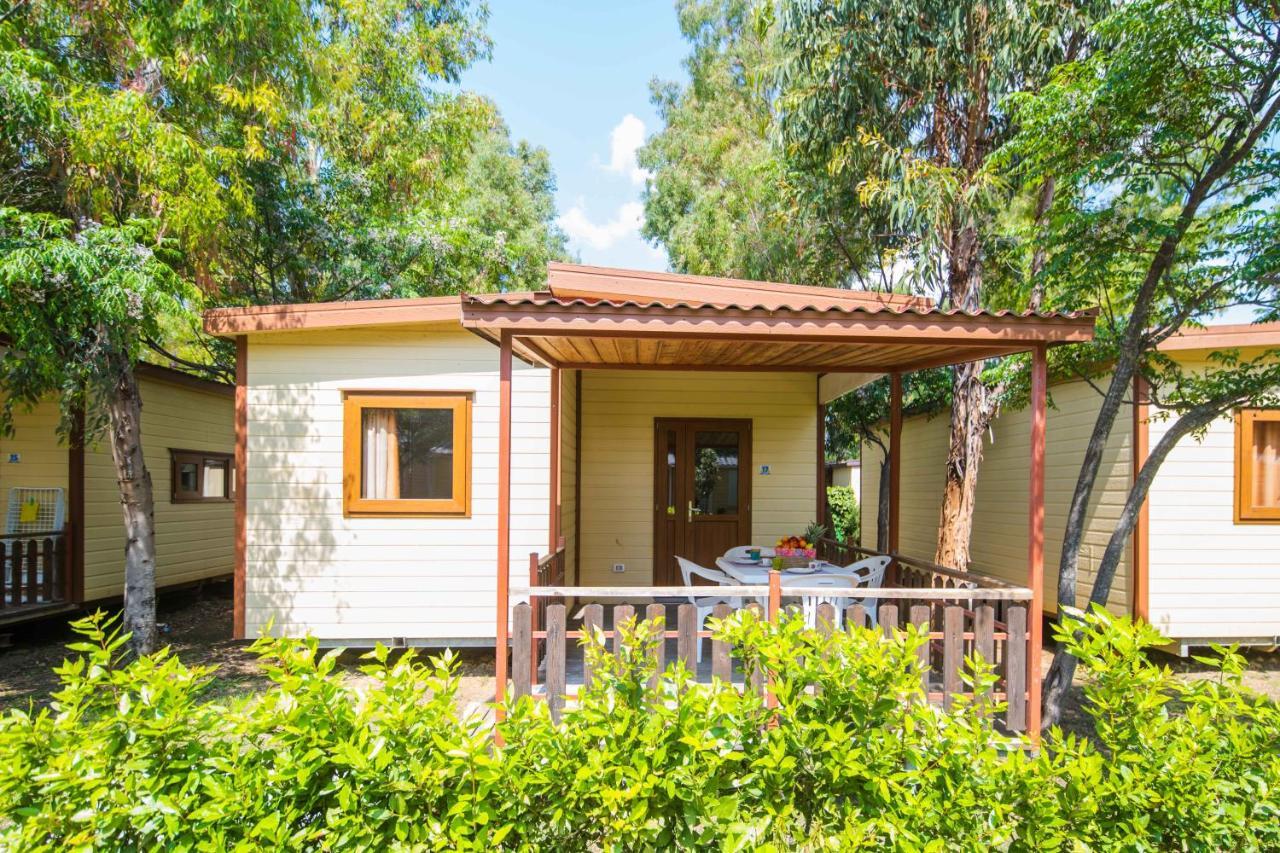 Camping Le Palme Marina Di Bibbona Luaran gambar